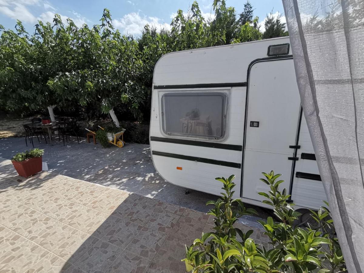 Green Garden Caravan Hotel Agrilia Exterior photo